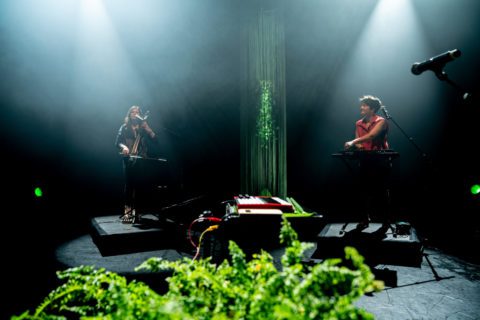 Forêts