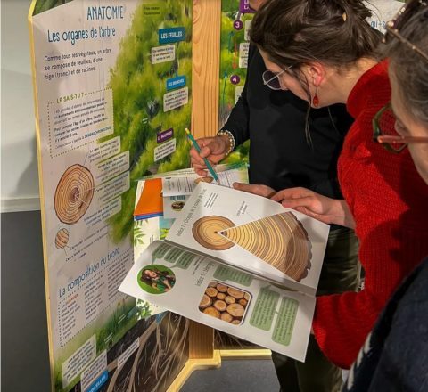 Exposition l&rsquo;arbre et ses secrets