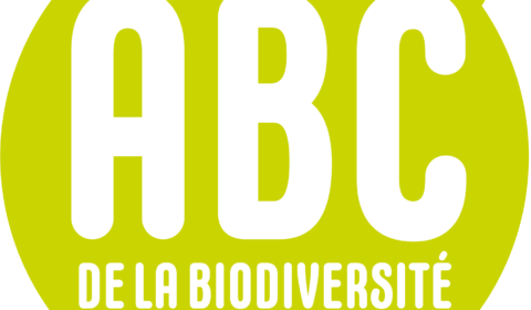 Suivi des oiseaux migrateurs